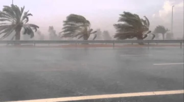 انخفاض تدريجي في درجات الحرارة ورياح نشطة من الثلاثاء حتى السبت المقبل